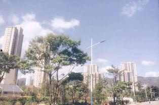 私家花园爆料视频,独家爆料带你领略隐秘奢华生活  第1张